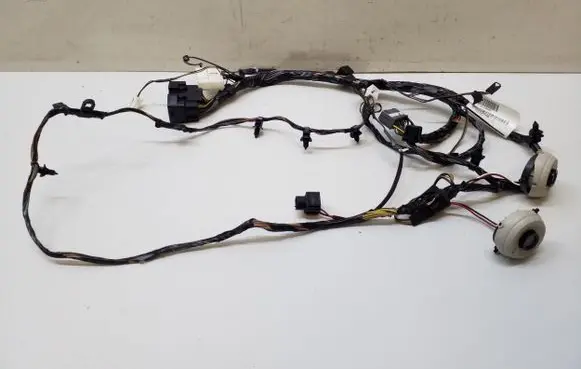Chrysler Town & Country V Other wiring loom 812999R 96555J
