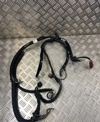 Audi Q7 4L Other wiring loom 80A971228AF
