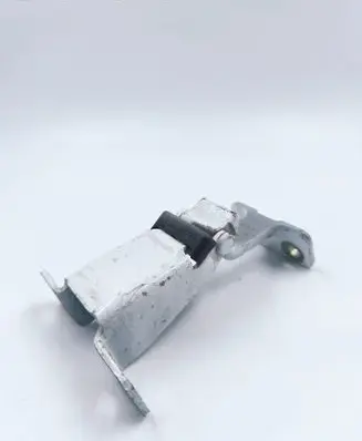 Renault Kangoo II Loading door lower hinge 