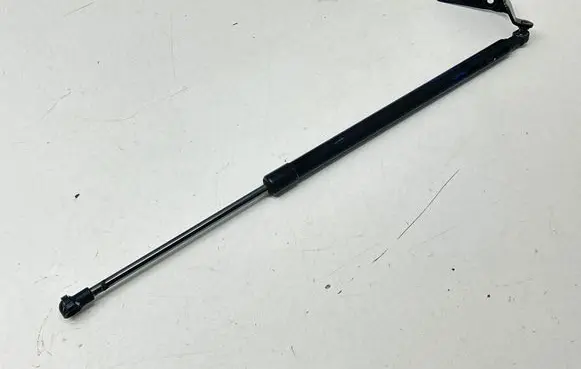 Tailgate/trunk strut/damper