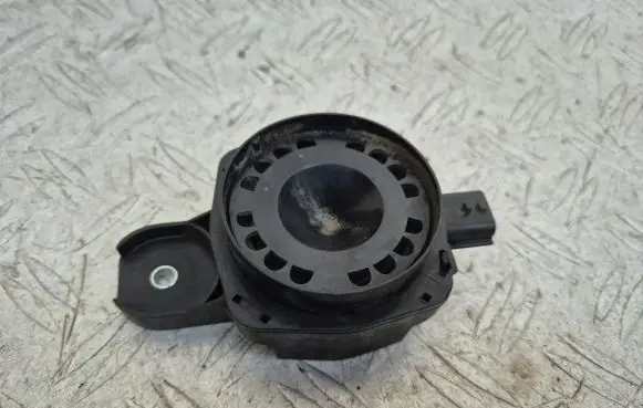 Renault Megane III Alarm system siren 256400001R