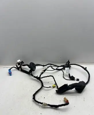 Volkswagen Golf VIII Front door wiring loom 5H4971162BT