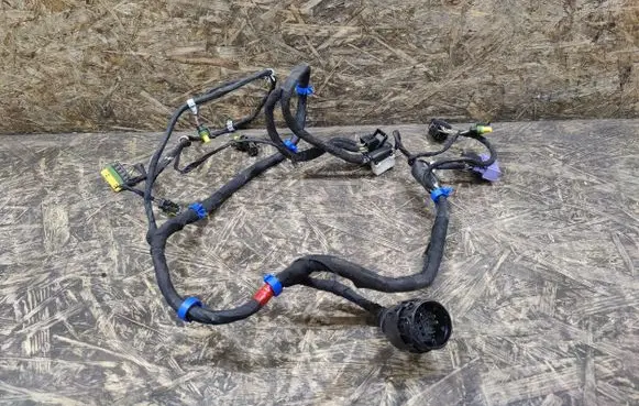 Maserati Quattroporte Front door wiring loom 953946