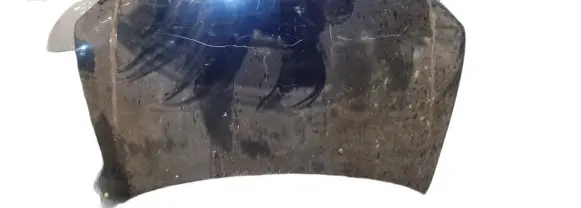 Chrysler Pacifica Engine bonnet/hood NOCODE