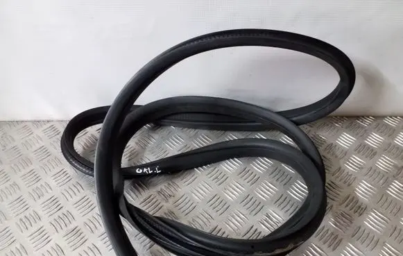 Ford C-MAX II Rear door rubber seal (on body) 