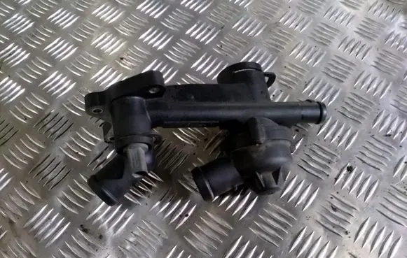 Thermostat/thermostat housing