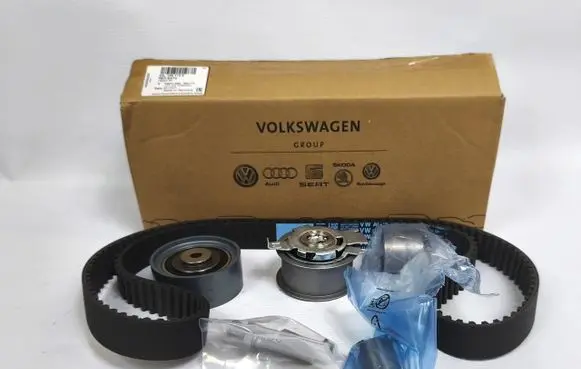 Volkswagen Golf VI Timing chain (engine) 03L198119 03L198119E