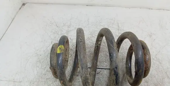 Volkswagen Sharan Rear coil spring