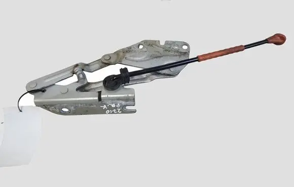 Volkswagen Golf Plus Engine bonnet/hood hinges 5M0823301