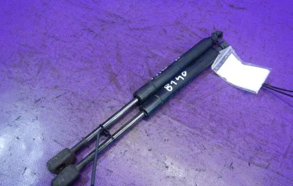 BMW X3 E83 Tailgate strut 