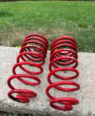 Rear coil spring