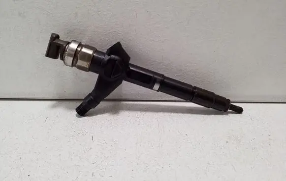 Nissan Pathfinder R51 Fuel injector 16600EB300