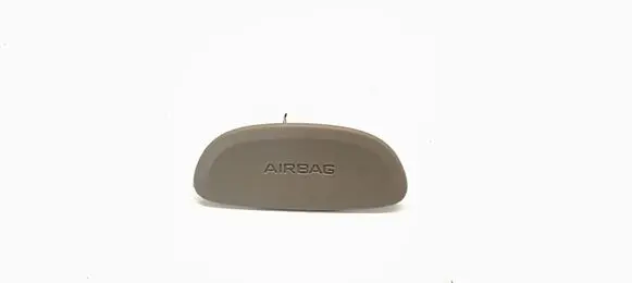 Ram 1500 DT Steering wheel airbag cover 1CREWNRLH