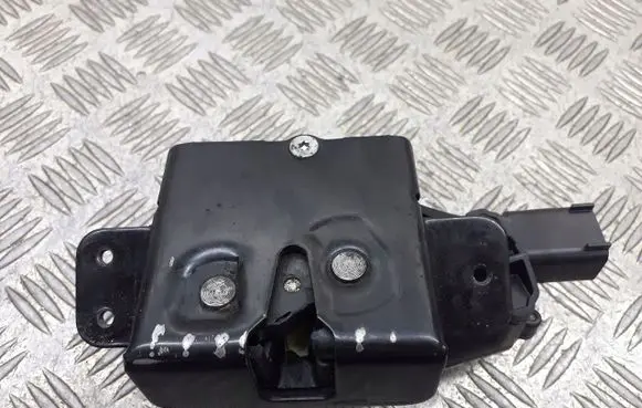 Opel Insignia A Engine bonnet/hood lock/latch loop/hook 13501872