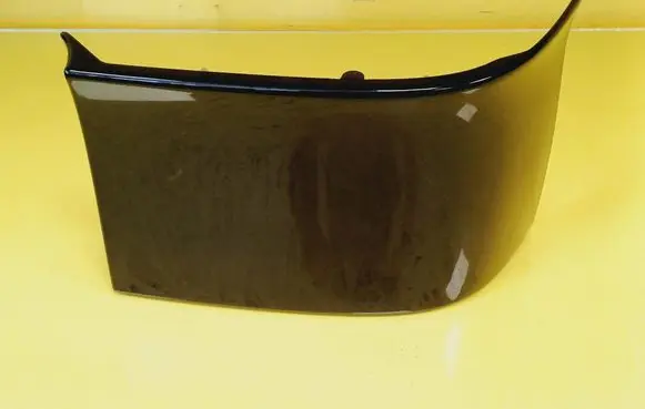 Rear/tail light trim molding