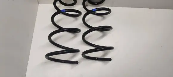 Rear coil spring