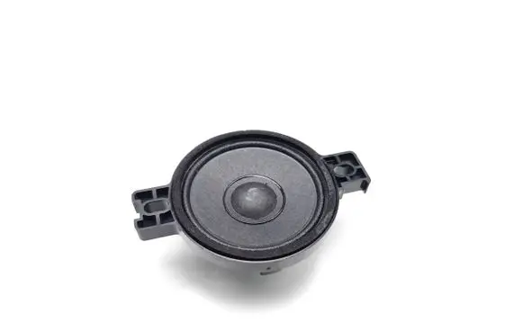 Panel speaker