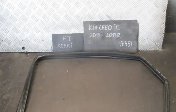 KIA Ceed Rubber seal rear door window/glass 