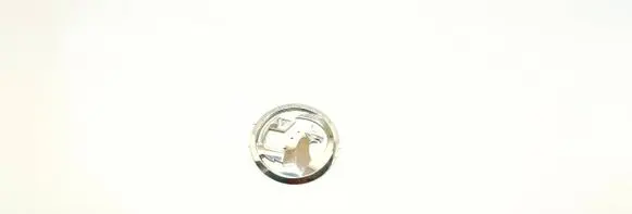 Opel Insignia B Manufacturers badge/model letters 39079232