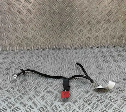 Peugeot 2008 II Positive cable (battery) 9842007880