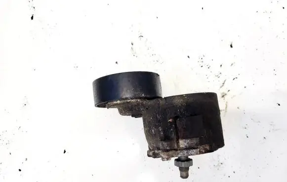 Fiat Punto (188) Generator/alternator belt tensioner