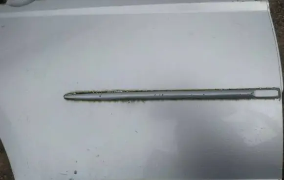 Rear door trim (molding)