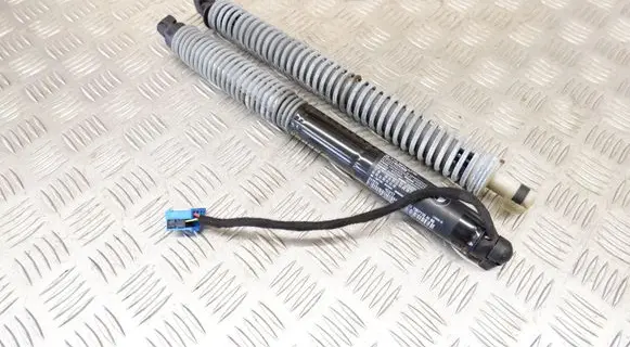 Tailgate/trunk strut/damper