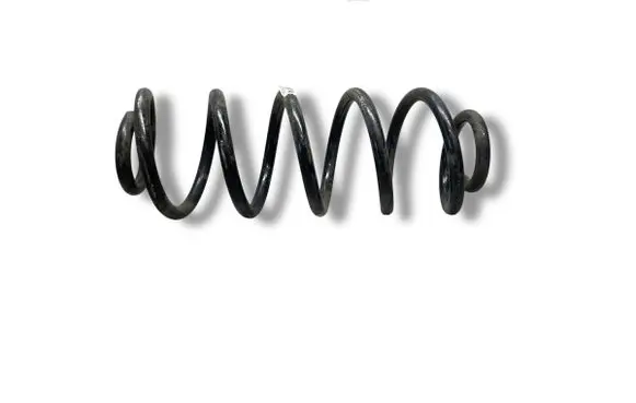 Rear coil spring