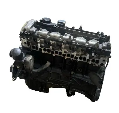 Mercedes-Benz S W220 Engine 648960 OM648
