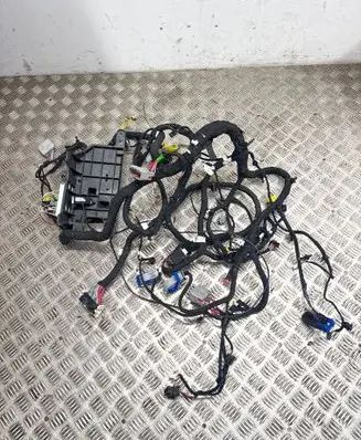 Other wiring loom