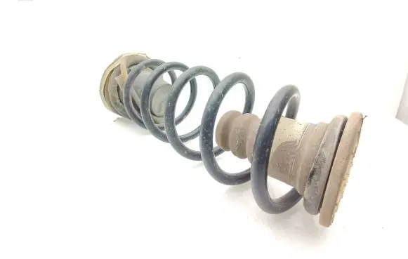 Rear coil spring