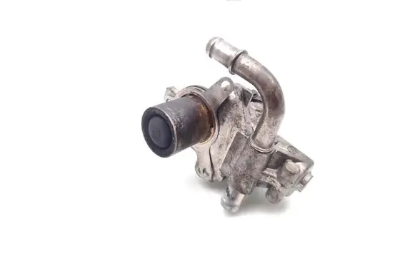 Nissan Juke I F15 EGR valve
