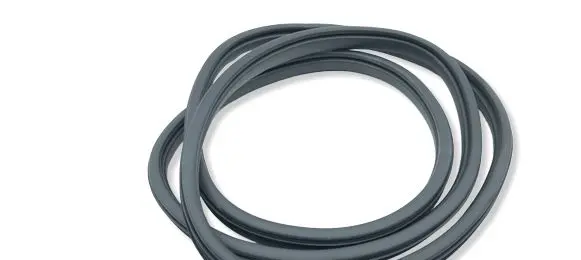Honda ZR-V Rubber seal rear door 