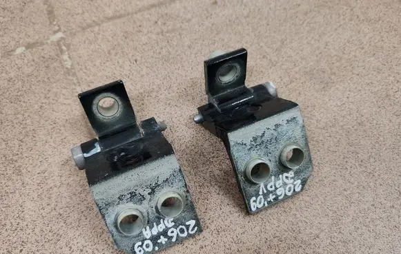 Peugeot 206+ Front door hinges set 