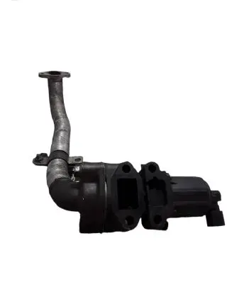 Mitsubishi Pajero EGR valve