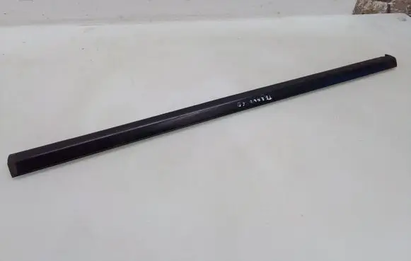 Rear door glass trim molding