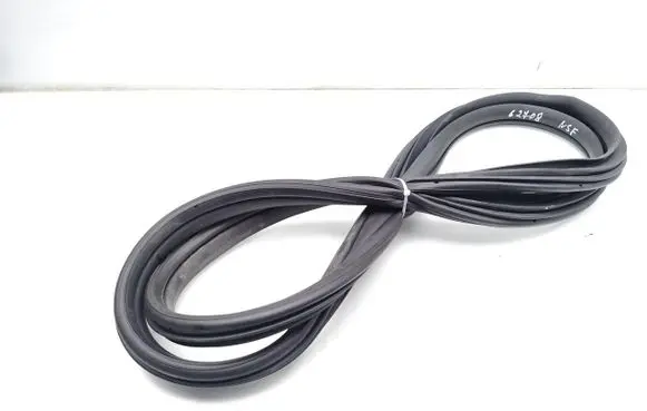 BYD Dolphin Front door rubber seal