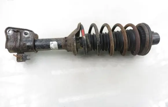 Land Rover Freelander Rear shock absorber with coil spring 