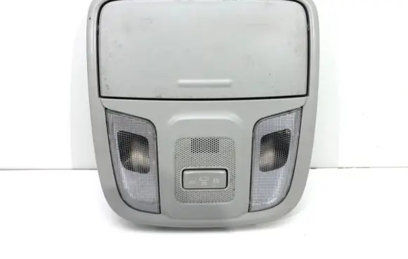 KIA Niro Headlining lighting console trim 