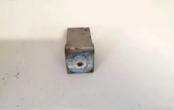 Rear door lower hinge