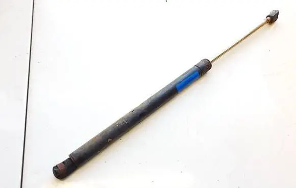 Tailgate/trunk strut/damper