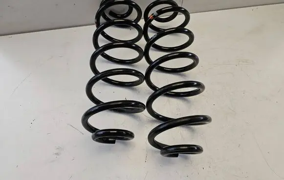 Rear coil spring