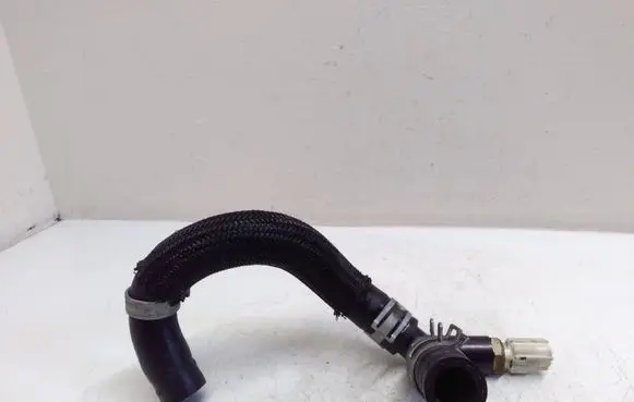Toyota Prius (XW50) Engine coolant pipe/hose