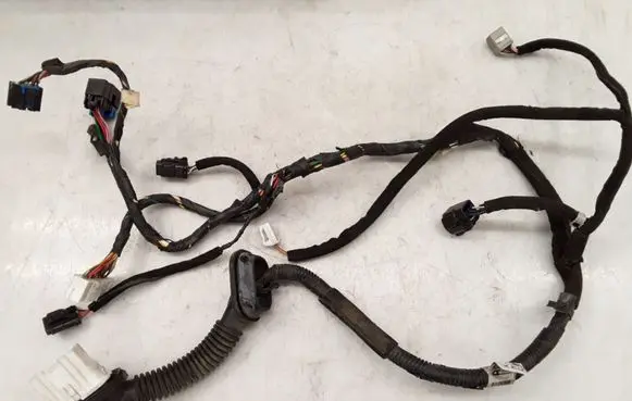 KIA Carnival Front door wiring loom 916004D021
