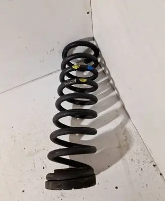 Rear coil spring