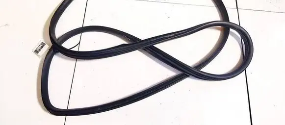 Nissan Note (E11) Rubber seal front coupe door 