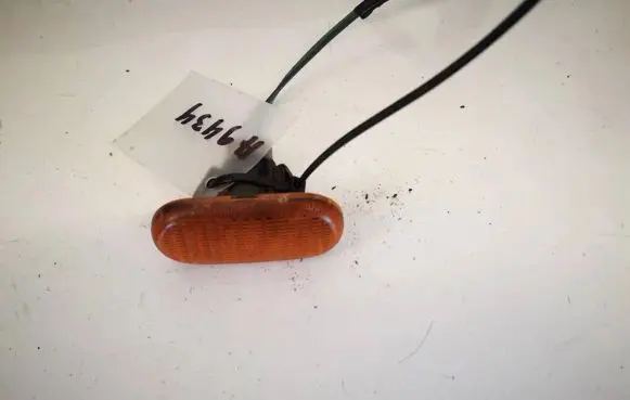 Front fender indicator light