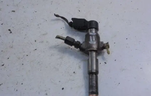 Citroen C3 Fuel injector 9655304880