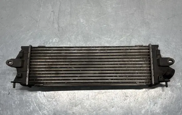 Renault Trafic II (X83) Intercooler air channel guide 93854162 988650B IA1422