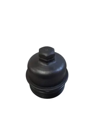 Ford C-MAX II Oil filter cover 